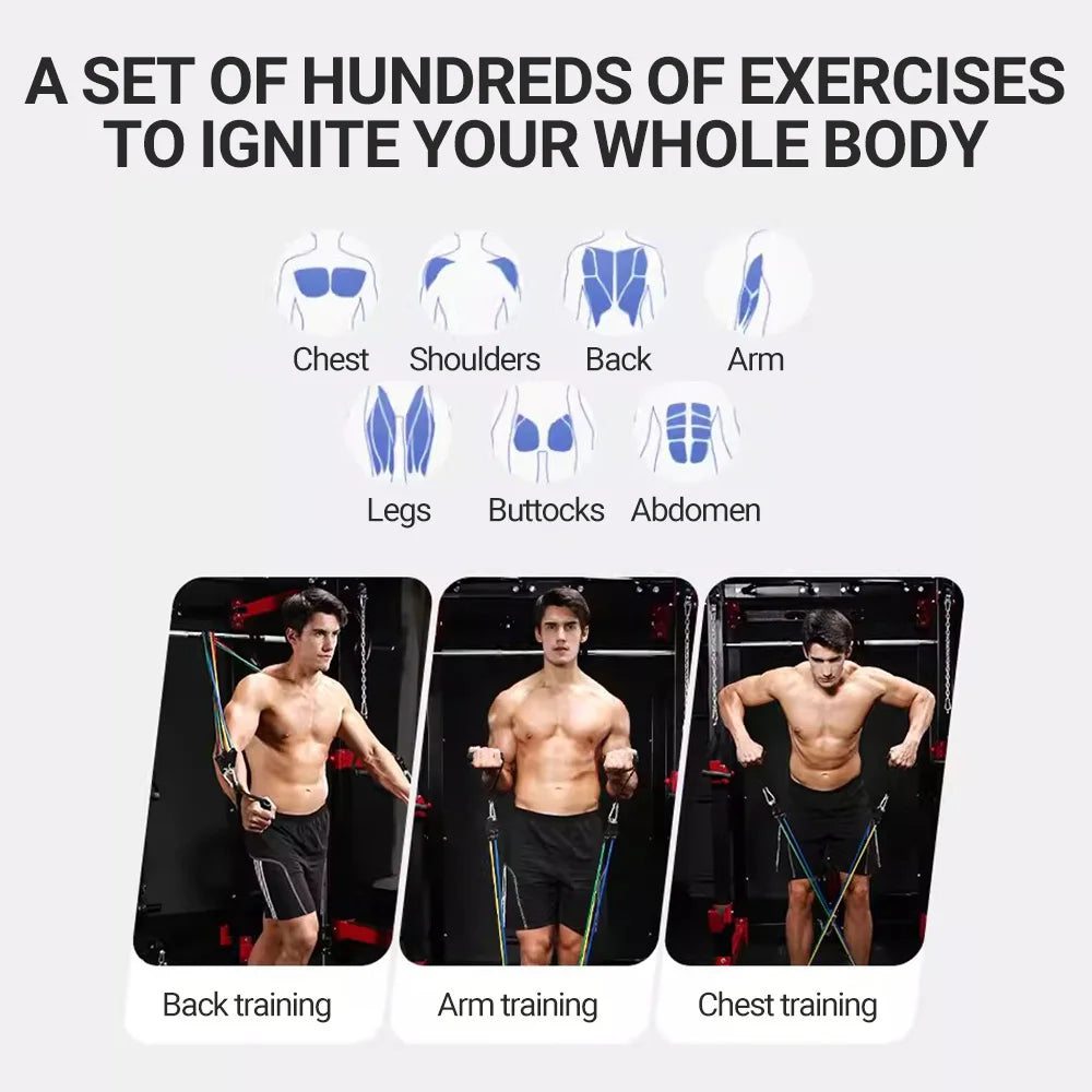 Set de Bandas de Resistencia 5 en 1 l Entrena Todo el Cuerpo en Casa o Gym